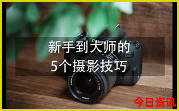 洛阳玩的地方排行榜前十名